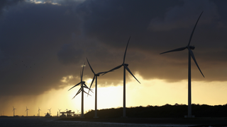 In World First, a Court Reaffirms a Government's Responsibility to Act on Climate Change